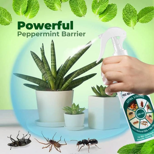 All In One Pest Repellent Spray (250ml)