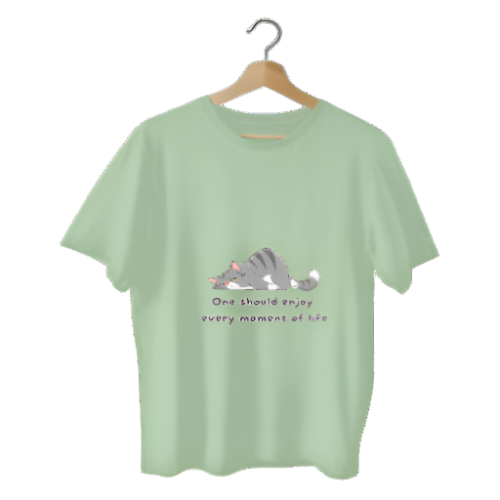 Men's Oversize T-shirt- 220 GSM | Memes Printed Graphics T-Shirt