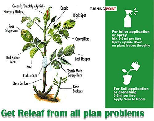 Chipku -Pure Cold Pressed, Water Soluble Insects neem Oil for Spray on Plants and Garden (250 ml)…